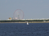 img0179.jpg
