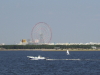 img0180.jpg