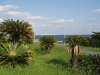 img0190.jpg