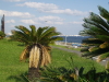 img0191.jpg