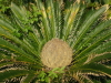 img0192.jpg