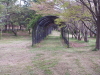 img0198.jpg