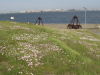 img0203.jpg