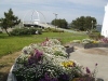 img0204.jpg