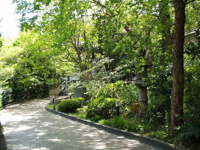 img0011.jpg