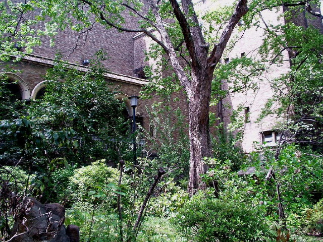 img0013.jpg