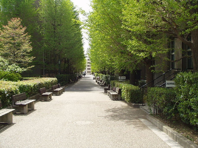 img0018.jpg