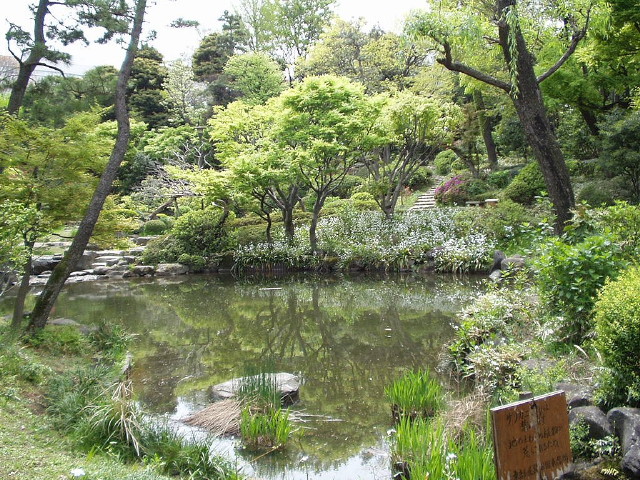 img0025.jpg