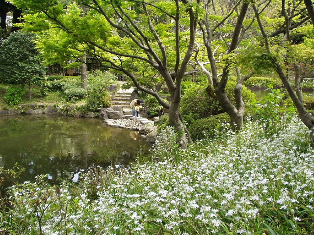 img0029.jpg