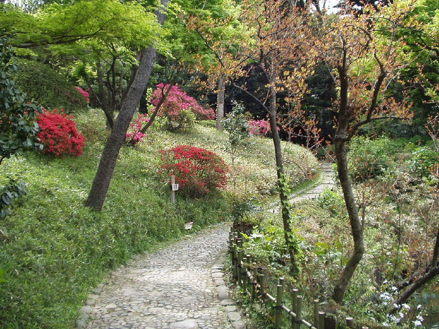 img0035.jpg