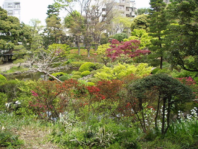 img0037.jpg