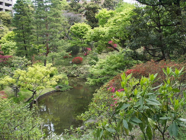 img0039.jpg