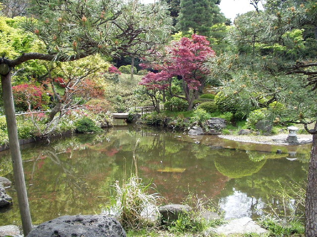 img0040.jpg