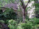 img0013.jpg