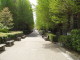 img0018.jpg