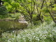 img0029.jpg
