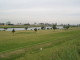img0003.jpg