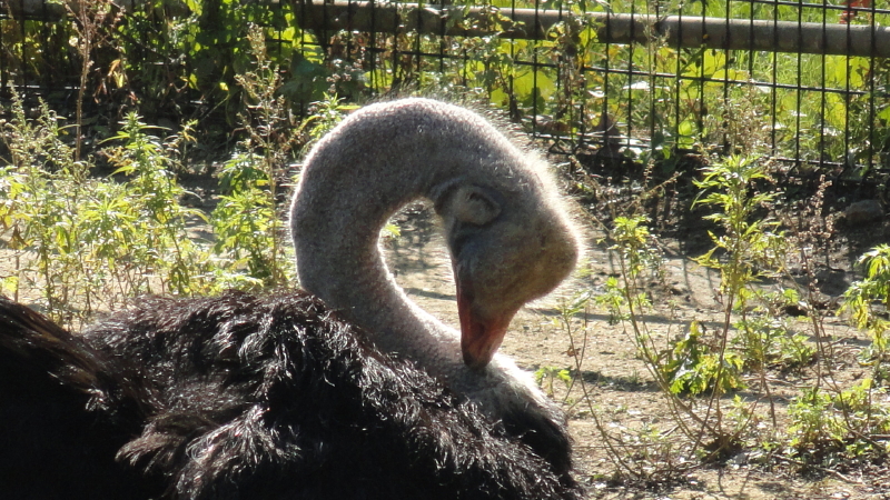 img0005.jpg