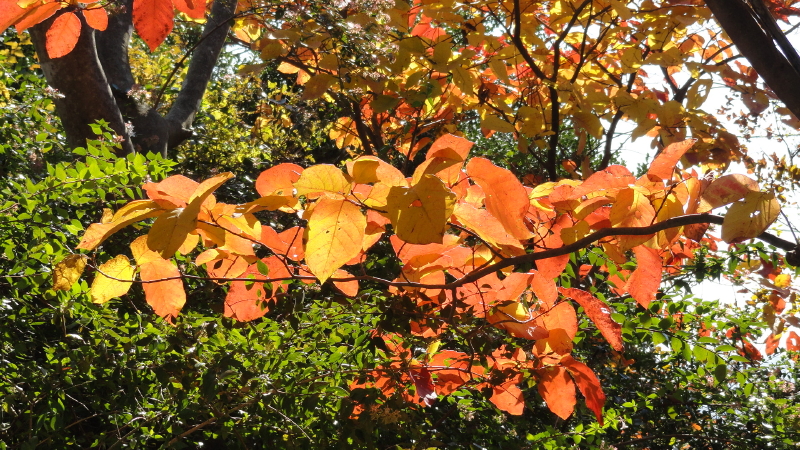 img0012.jpg