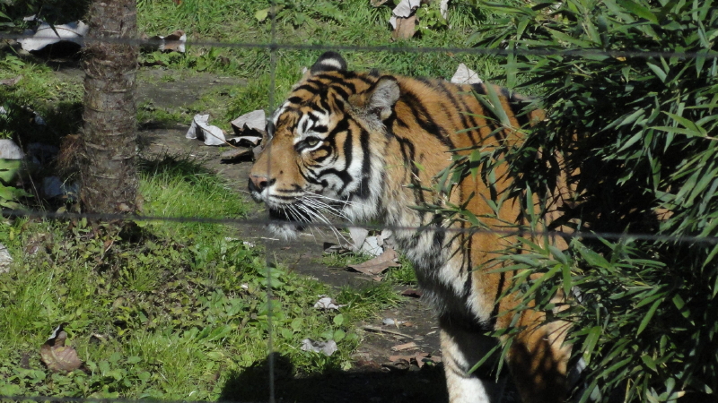img0014.jpg