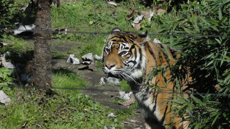img0015.jpg