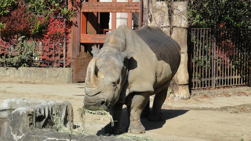 img0025.jpg