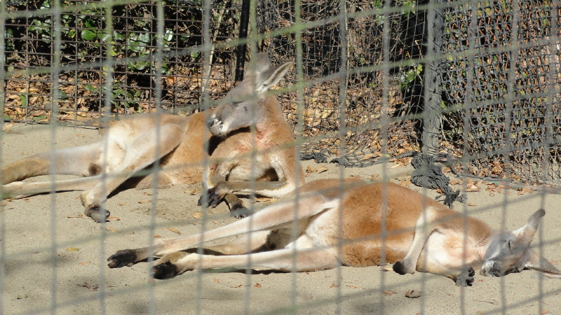 img0028.jpg