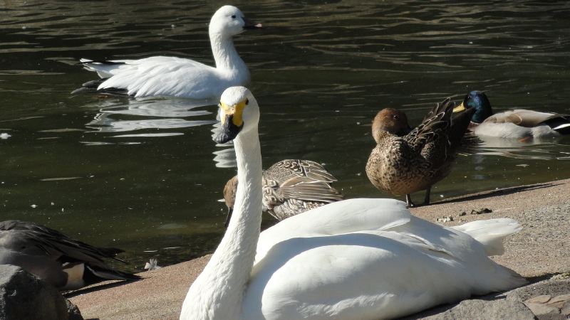img0030.jpg
