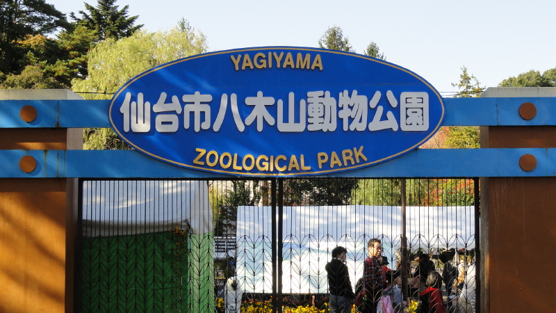 img0032.jpg