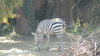 img0009.jpg