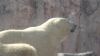 img0016.jpg