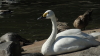 img0031.jpg