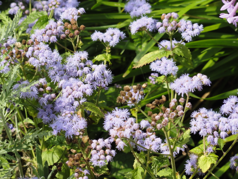 img0004.jpg