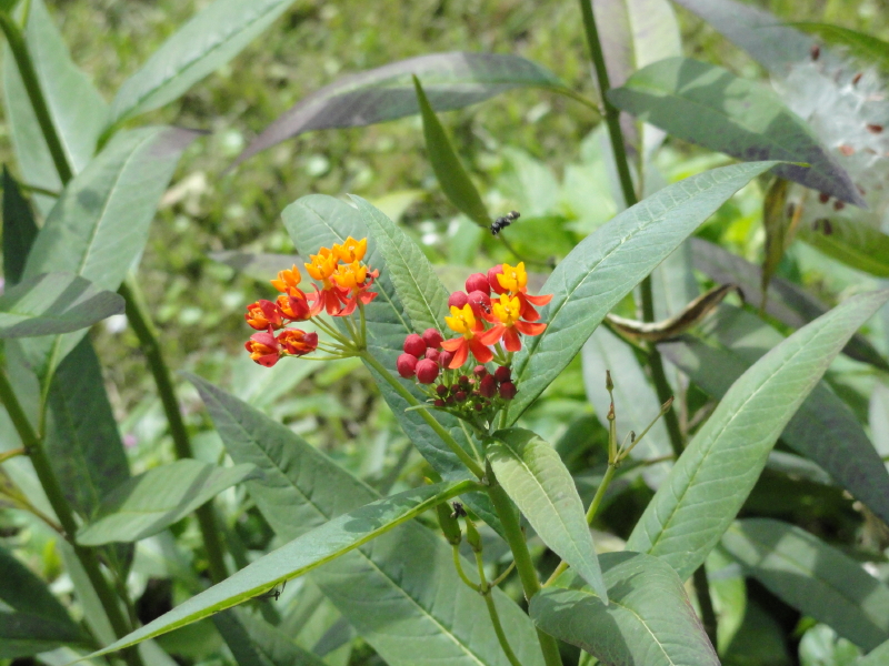 img0006.jpg