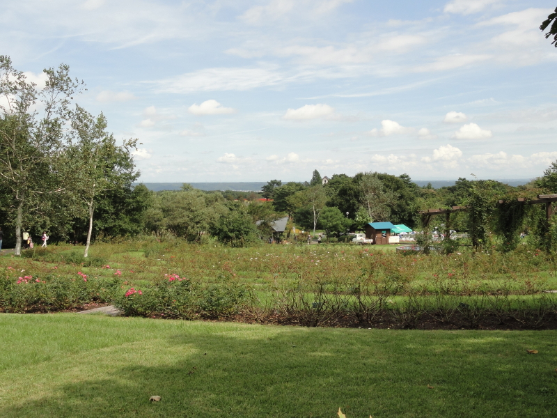 img0010.jpg