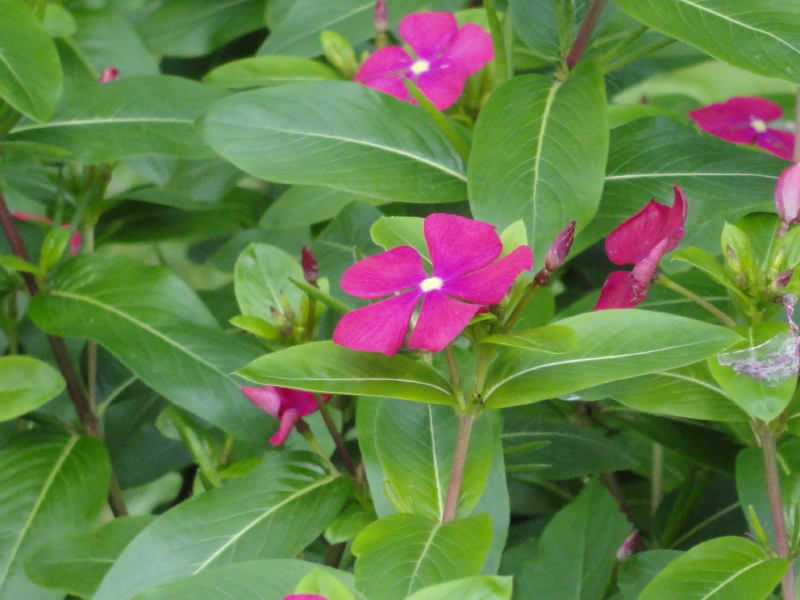 img0014.jpg
