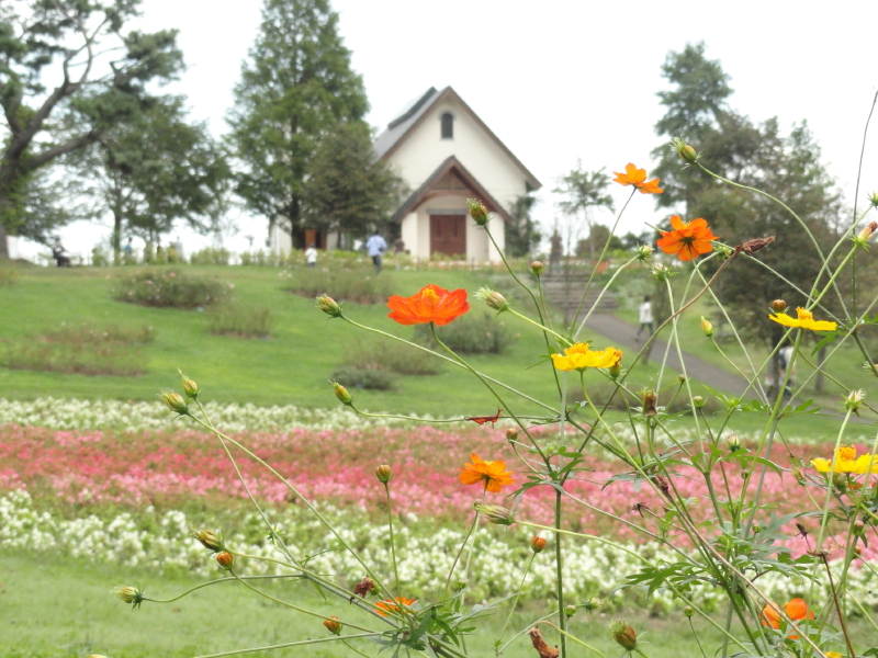 img0022.jpg