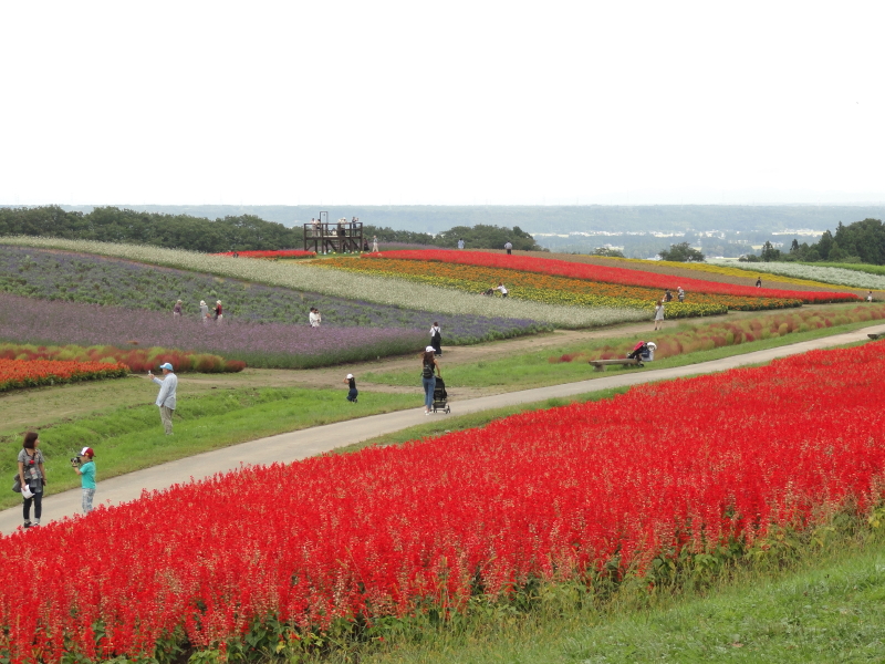 img0025.jpg