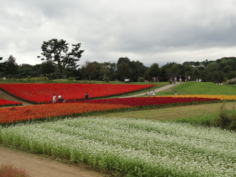 img0039.jpg