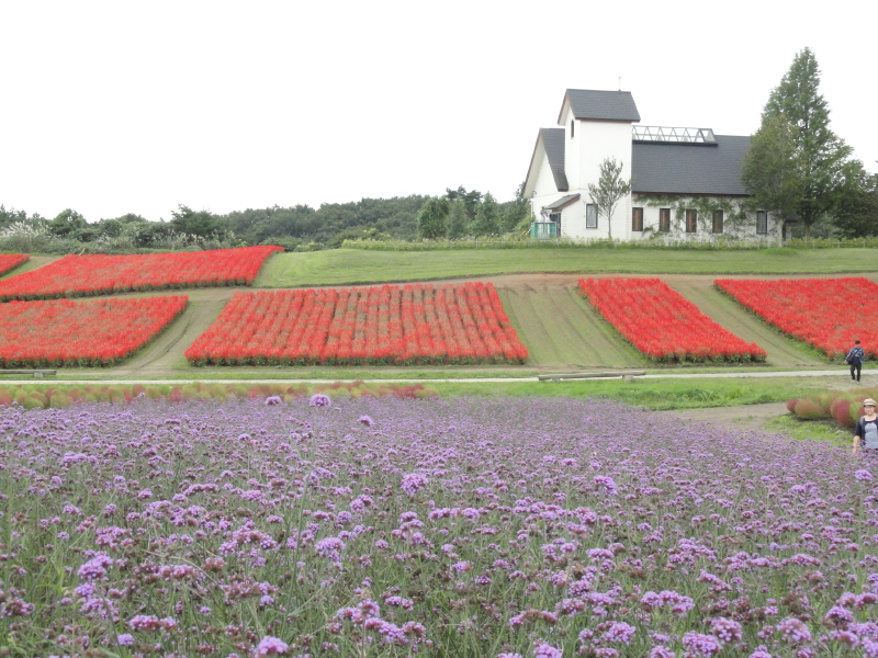 img0043.jpg