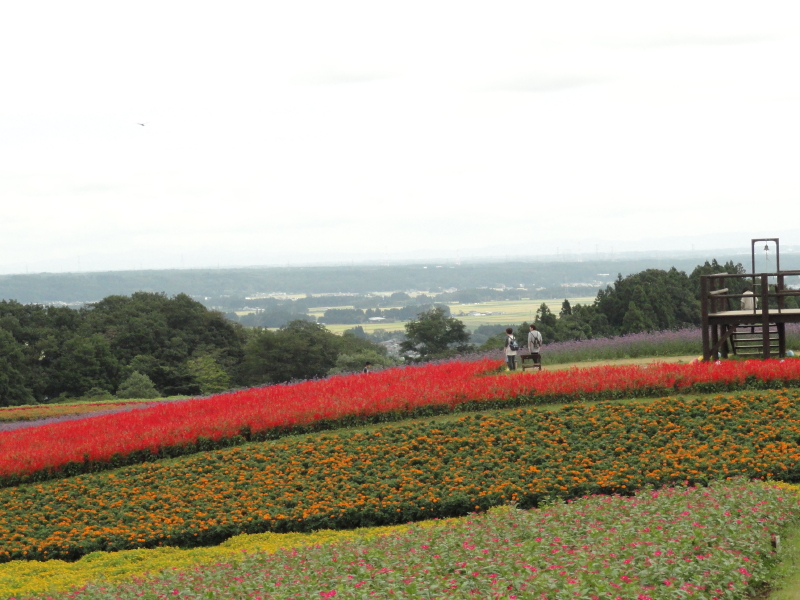 img0054.jpg