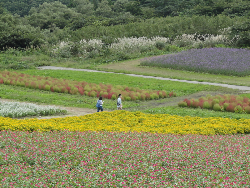img0066.jpg