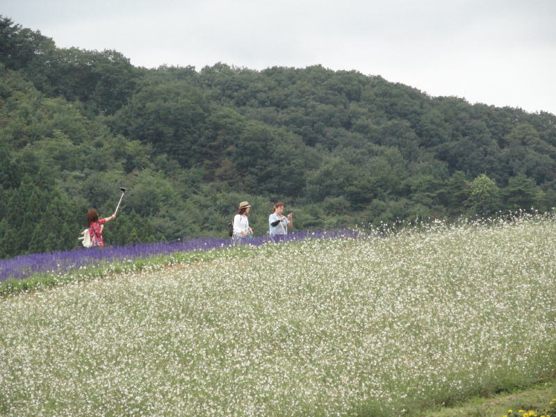 img0078.jpg