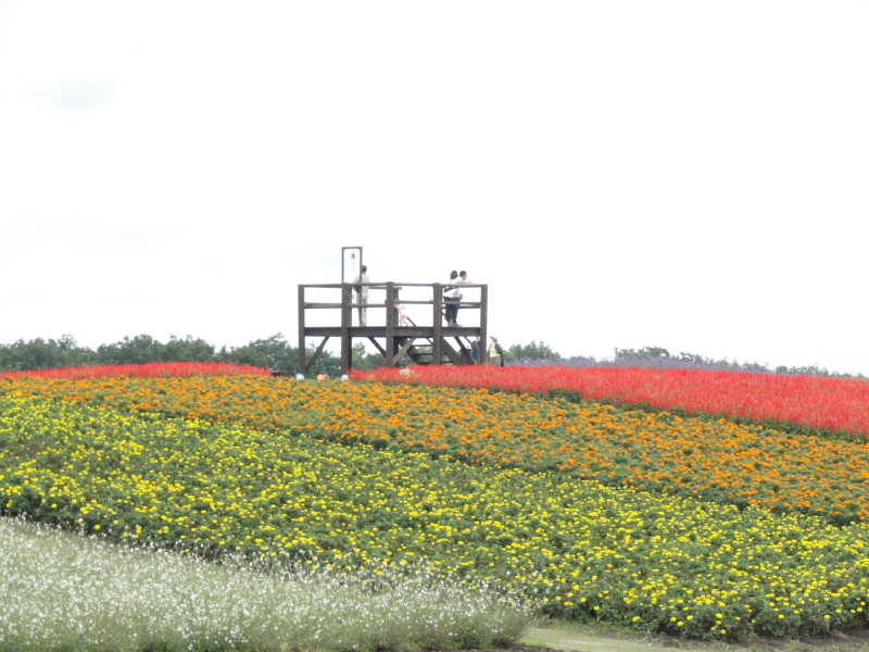 img0079.jpg