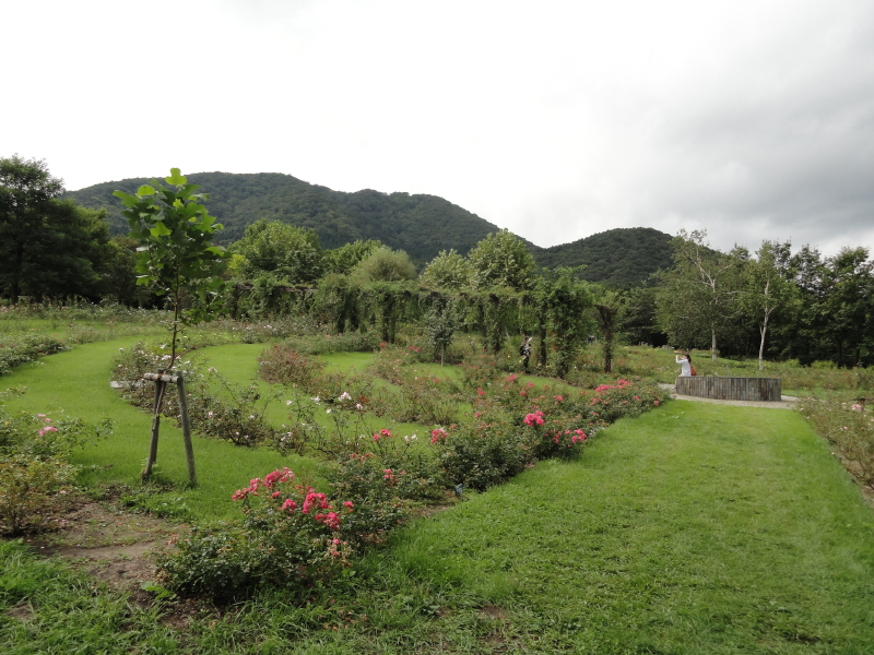 img0093.jpg