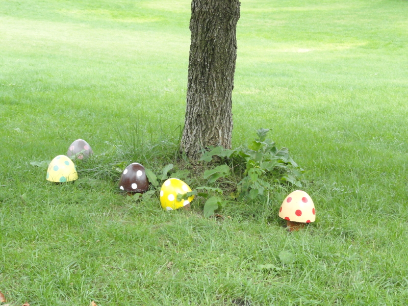 img0097.jpg