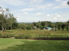 img0010.jpg
