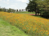 img0018.jpg