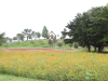 img0019.jpg