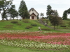 img0021.jpg